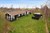 <img src='http://i.boliga.net/dk/200x/755/755133.jpg' />